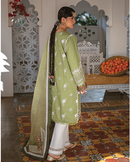 Omavi-HOM-08